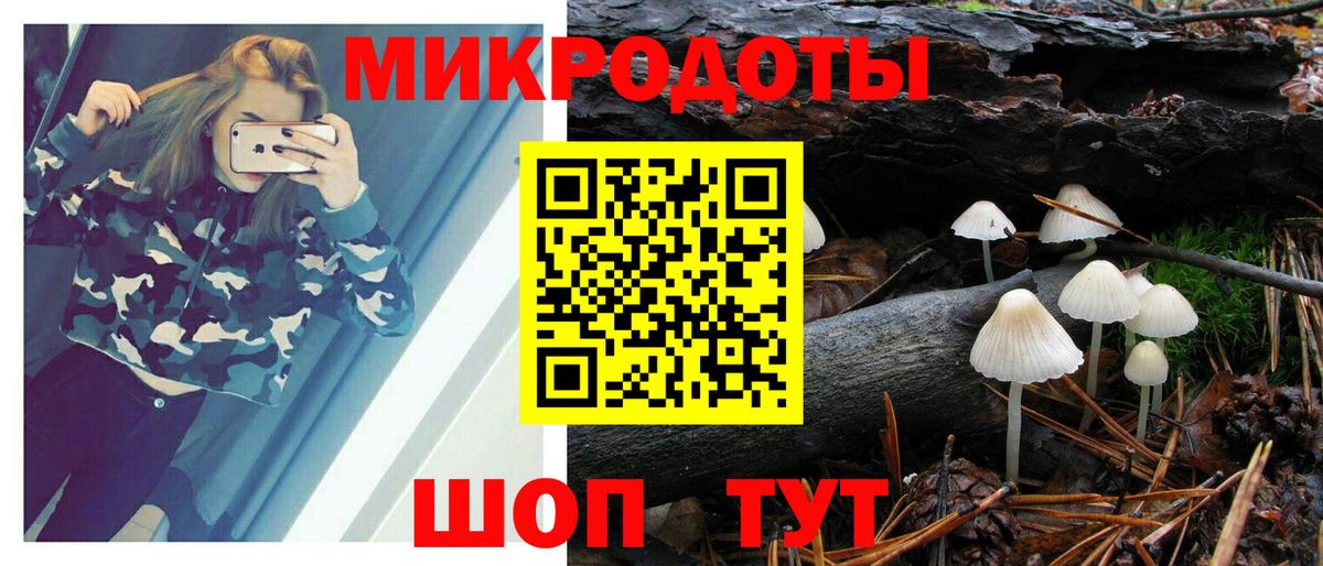 Галлюциногенные грибы Psilocybe Алексеевка