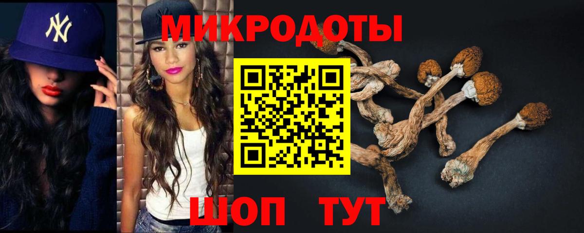 где продают   Галлюциногенные грибы GOLDEN TEACHER  Вход с VPN  Алексеевка  Галлюциногенные грибы Cubensis 